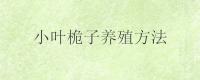 小叶桅子养殖方法