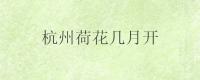 杭州荷花几月开