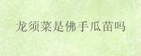 龙须菜是佛手瓜苗吗