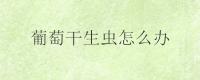 葡萄干生虫怎么办？