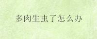 多肉生虫了怎么办？