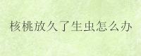 核桃放久了生虫怎么办