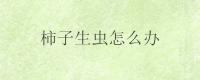柿子生虫怎么办