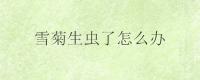雪菊生虫了怎么办？