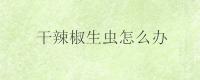 干辣椒生虫怎么办