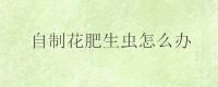 自制花肥生虫怎么办