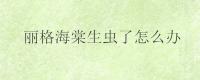 丽格海棠生虫了怎么办