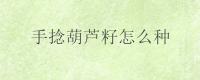手捻葫芦籽怎么种