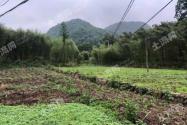有5000萬元想到農村投資,應該怎么做?