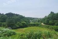 土地流转如何实现土地增效、农民增收、投资获利?唱好"四部曲"谋划"三依托"