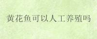 黄花鱼可以人工养殖吗
