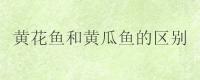 黄花鱼和黄瓜鱼的区别