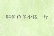 鳄鱼龟多少钱一斤?寿命有多长？