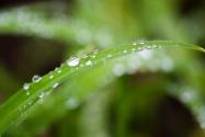2021年谷雨具體是幾月幾日幾點(diǎn)幾分？附谷雨節(jié)氣的特點(diǎn)和風(fēng)俗！