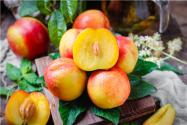 油桃是热性还是凉性水果？它的营养价值及功效与作用是什么？