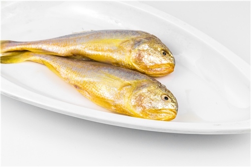 黄花鱼价格多少钱一斤21 野生黄花鱼为什么贵 附各地最新市场价 土流网