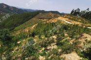 合肥、淮南、马鞍山2016年农用地转用和土地征收方案获国务院批准