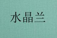 “死亡之花”水晶兰是什么花？有毒吗？能吃吗？功效与作用有哪些？