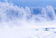 全国多地迎入秋后首场降雪！具体哪些地方降雪了呢？附下雪天注意事项！