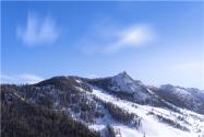 什么叫白灾？2021年冬季会有雪灾吗？专家最新提醒来啦！