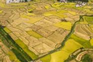 北京耕地一畝地多少錢？耕地占用稅是多少？