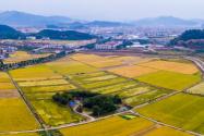 2021-2022年徐州市土地征收补偿标准是多少钱一亩？附青苗和附着物补偿标准