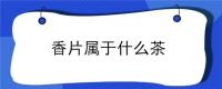 香片属于什么茶