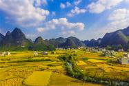 2022年山东省土地征收补偿标准：征收程序是怎样的？