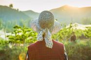 实际种粮农民一次性补贴什么意思？附各地最新标准！