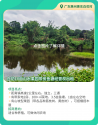 廣東惠州優質地塊出租，流轉期限長，土地類型多樣！