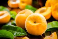 黃桃多少錢一斤2022？為什么那么貴？附各地最新價格！
