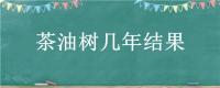 茶油树几年结果？