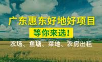 廣東惠東好地好項目：農場、魚塘、菜地、農房，等你來選！