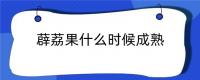 薜荔果什么时候成熟