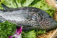石斑鱼属于淡水鱼还是海鱼？2022市场价多少钱一斤？