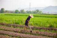 最新抵押权登记（土地经营权）操作规范：变更、转移、注销怎么登记？