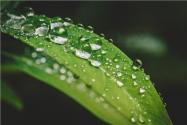 驚蟄是春天的開始嗎？老話常說“雨水無水，驚蟄春寒”，今年會有倒春寒嗎？ 