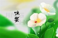 驚蟄節(jié)氣有哪些習俗？驚蟄有什么養(yǎng)生要點？