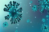 广东中山报告1例H3N8病例：症状有哪些？流感病毒如何跨物种传播？