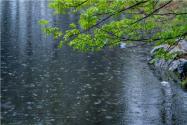 清明時節(jié)雨紛紛，路上行人欲斷魂的意思是什么？