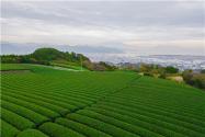 2023年湖南開展耕地“非農化”“非糧化”專項整治！