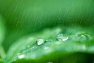 今日谷雨幾點幾分？谷雨節(jié)氣后會有什么變化？