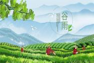 谷雨節(jié)氣如何養(yǎng)生？如何鑒別春日好茶？