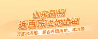 山東日照近百宗土地出租，萬(wàn)畝水澆地、綜合養(yǎng)殖用地、林地等！