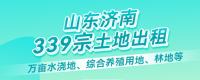 山東濟(jì)南339宗土地出租，宅基地、水澆地、工業(yè)用地、林地等！