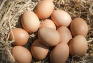 2023年雞蛋價格今日價格最新行情：下周有望爆發上漲嗎？