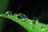 芒種下雨好不好？下雨有什么說(shuō)法？