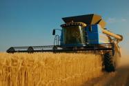 全國“三夏”麥收進度過半！2023小麥保護價是多少錢一斤？