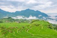 浙江2023实际种粮农民一次性补贴标准多少？各地标准一览！