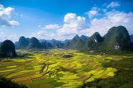 广西2023实际种粮农民一次性补贴标准多少？各地标准一览！